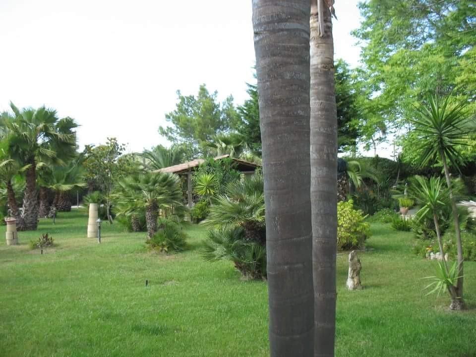 Villa Cecilia Matino Dış mekan fotoğraf